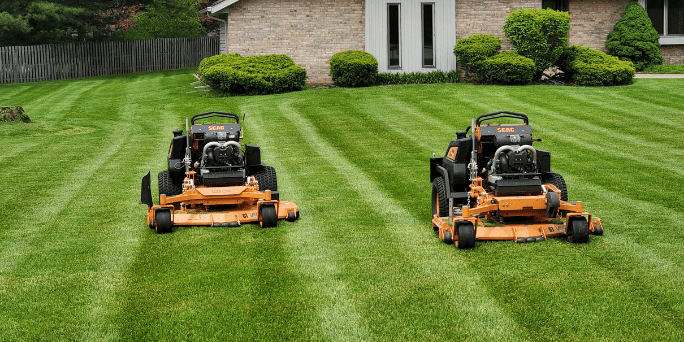 Professional lawn care and maintenance services