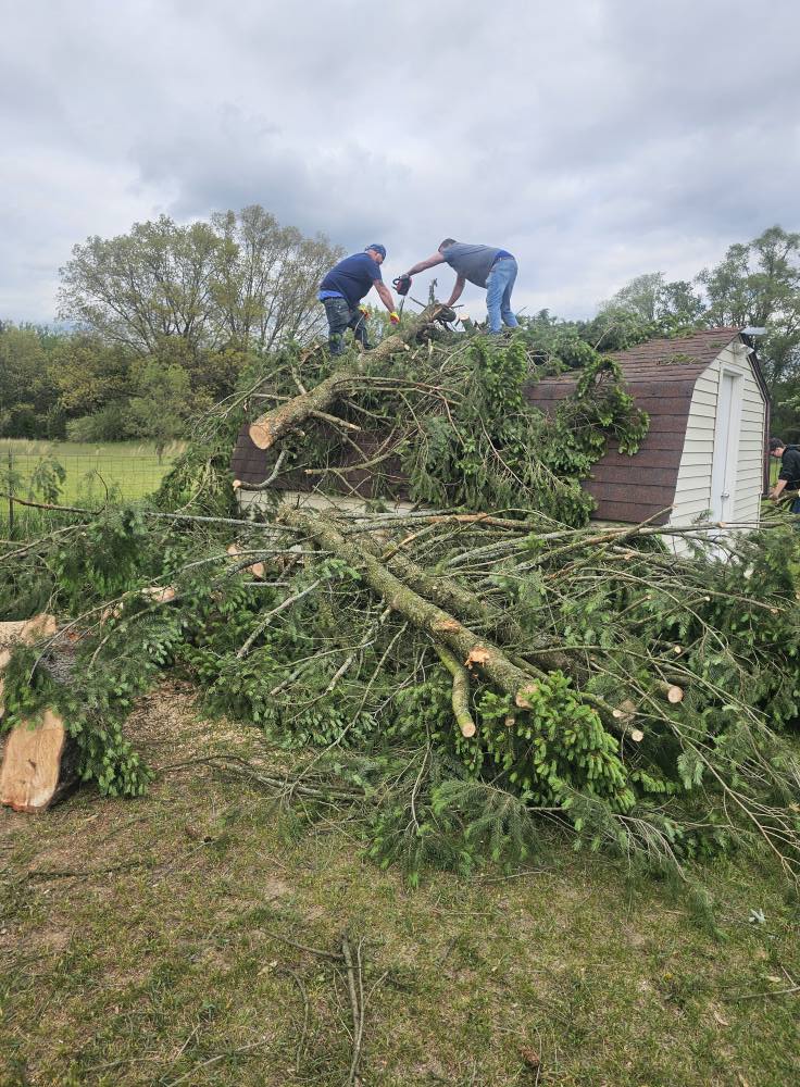 Seasonal cleanup and maintenance services